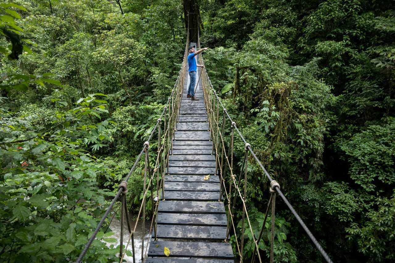 Een man op een loopbrug in de jungle.
