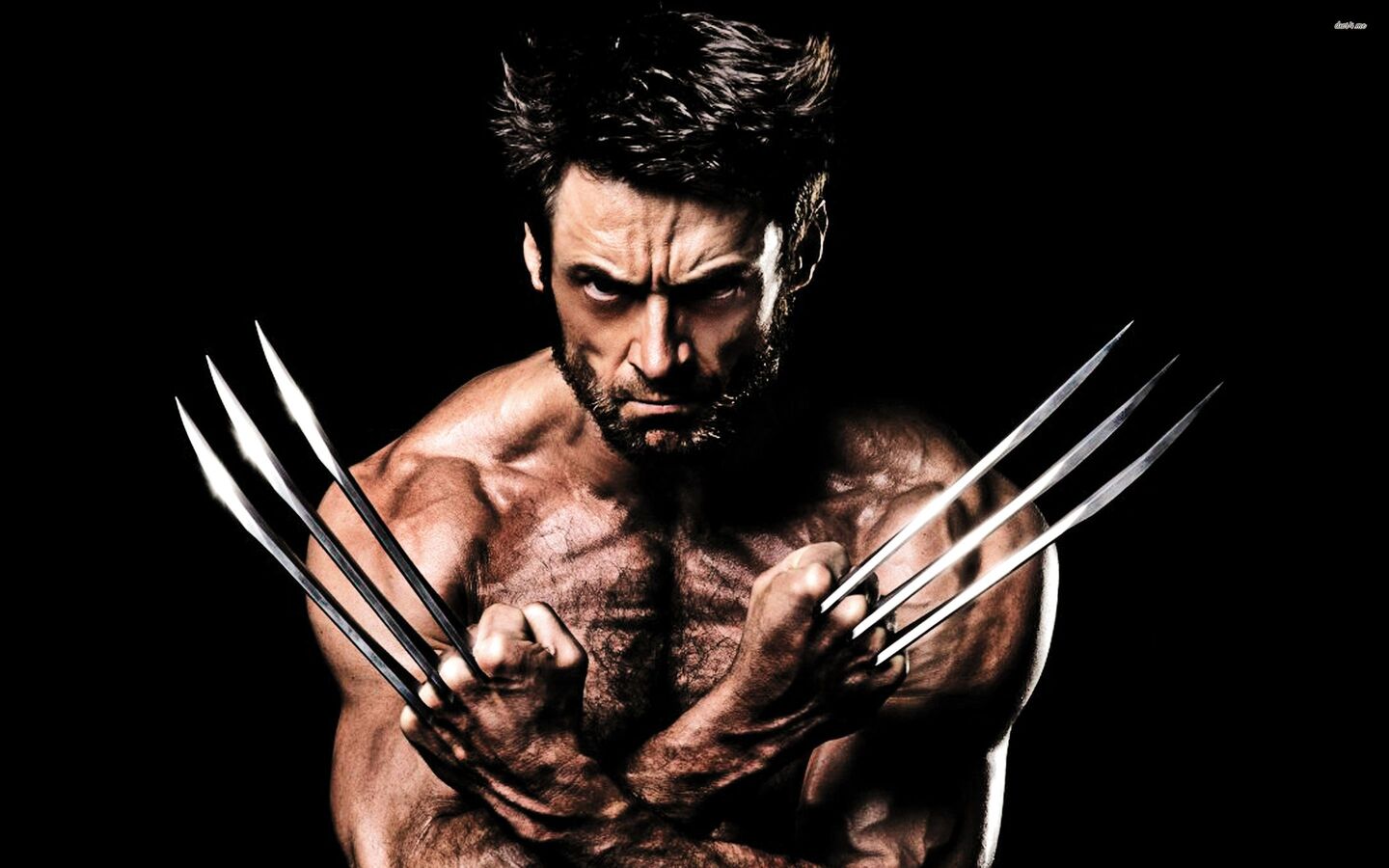 wolverine logan