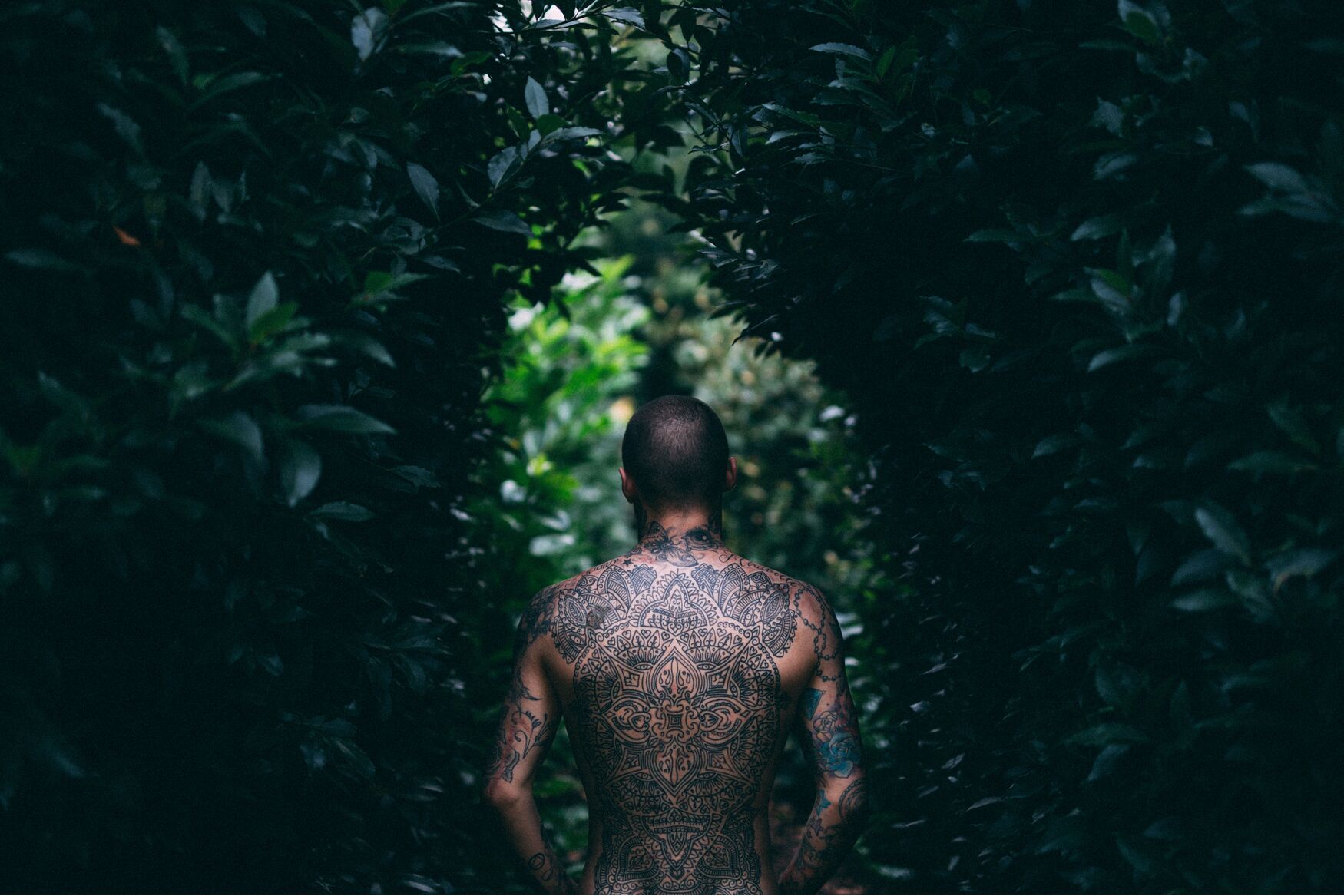 pijnlijkste plekken tattoo MAN MAN