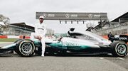 Illustratie voor: Dit verdienen de Formule 1 coureurs in 2017