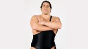 André the Giant