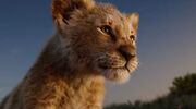 The Lion King film nieuw 2019