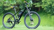 e-bike mountainbike elektrisch