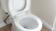 bidet bedrijf poepen geld verdienen