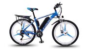 goedkope e-bike snel