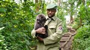 virunga netflix documentaire