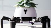 plant-robot