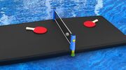Drijvende pingpongtafel water (1)