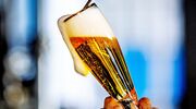 Alfa Bier beste bier ter wereld pils