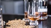 Illustratie voor: De top 10 beste whisky distilleerderijen van Schotland