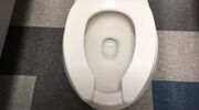 De reden dat sommige wc's een toiletbril met U-vorm hebben