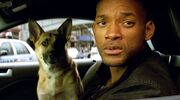 Deel 2 I Am Legend