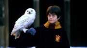 Daniel Radcliffe als Harry Potter in Harry Potter en de Steen der Wijzen