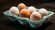 eieren buiten of in koelkast bewaren waarom