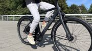 grootste e-bike merken nederland marktaandeel