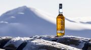 talisker whiskey 45 jaar oud