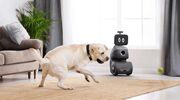 ORo gadget hond