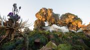 Disney-world-avatar