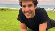 David Dobrik gespierd