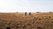 populairste fietsroute nederland dwingelderveld