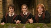 De cast van Harry Potter
