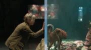 Illustratie voor: Sally Field speelt naast een octopus op Netflix en het is haar beste rol in jaren