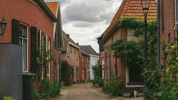 Een straat met huizen en planten.