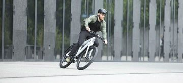 e-bike speed pedelec