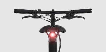 carbon carbo 's werelds lichtste e-bike