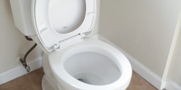 bidet bedrijf poepen geld verdienen