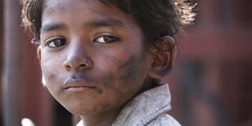 lion film waargebeurd aanrader