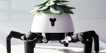 plant-robot