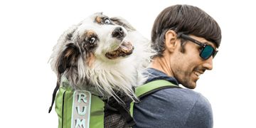rugzak voor je hond