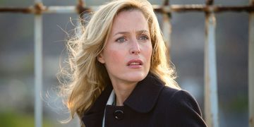 the fall serie netflix