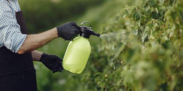 Pesticiden zijn schadelijk voor de gezondheid