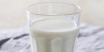 melk prote&iuml;ne shake