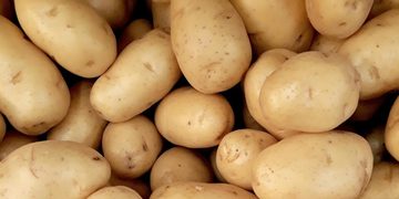 aardappelen