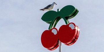 pacha club ibiza