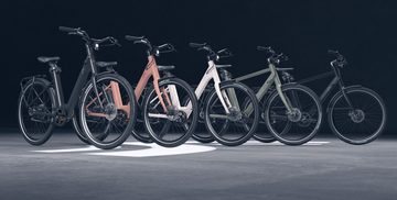 lidl e-bikes crivit