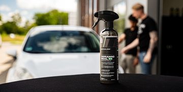 detailrs ceramic seal