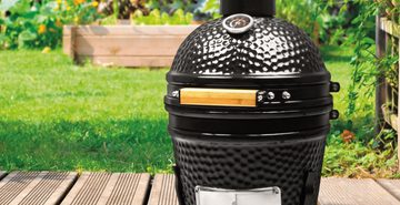 ALDI mini kamado bbq klein