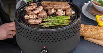 draagbare bbq grill action te koop