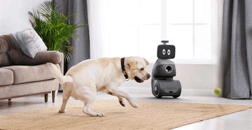 ORo gadget hond