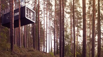 treehotel