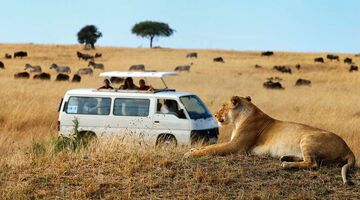 roadtrip-afrika-krugerpark-manman