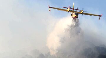 bosbrand ibiza MAN MAN