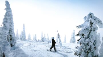 valle daoste wijnen italie