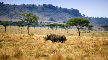 nationale parken MAN MAN