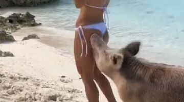 Michelle Lewin MAN MAN