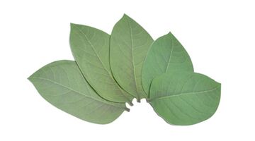 aliexpress gadget voor auto handig